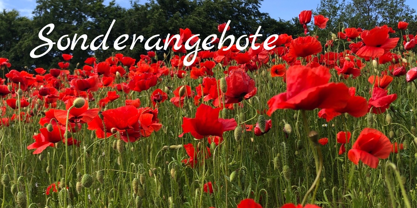 KATEGORIE_ALT_TEXT1