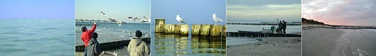 Fotoreihe Ostseewasser
